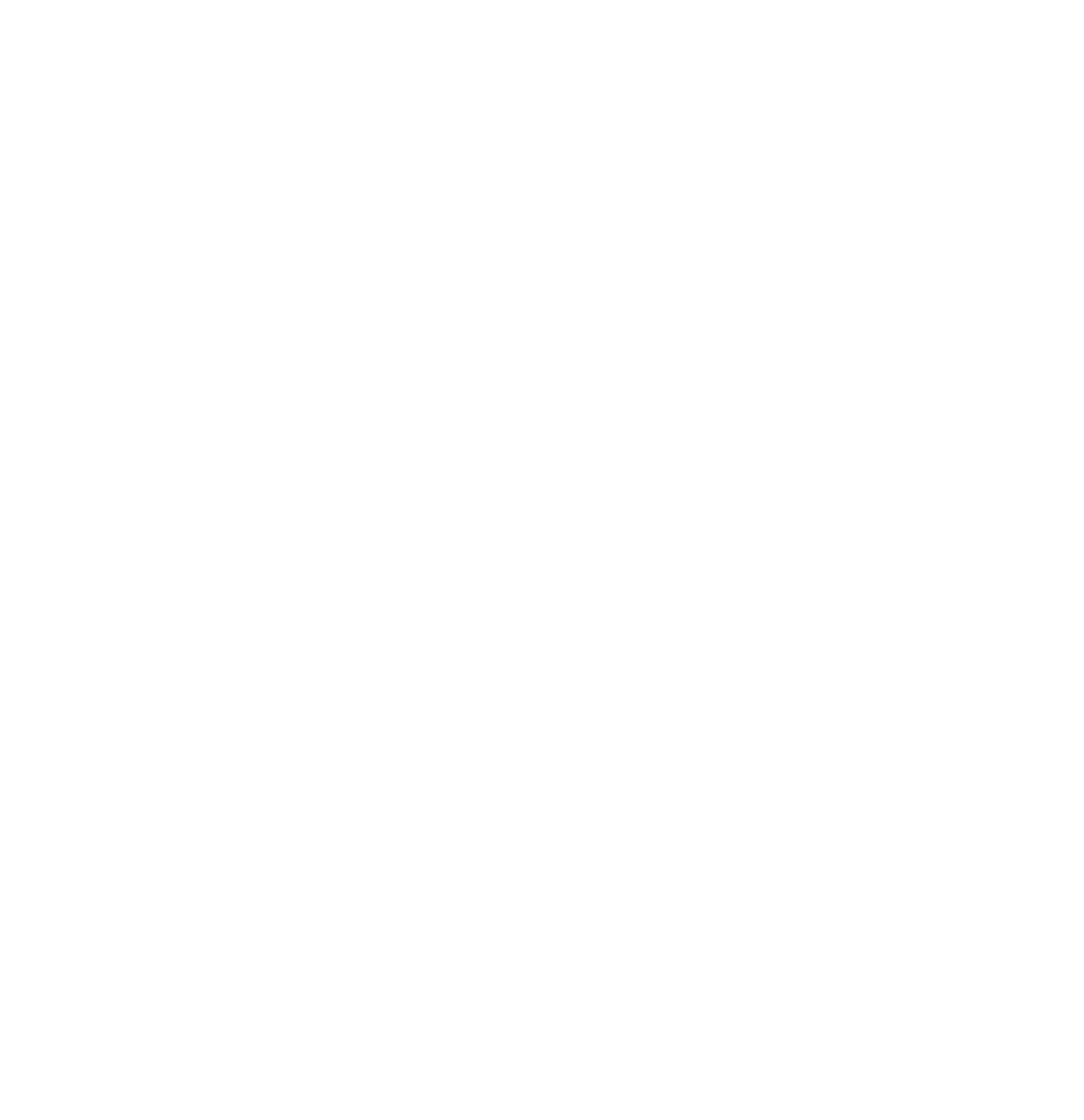 CCS – Reinigungsservice – Symbol