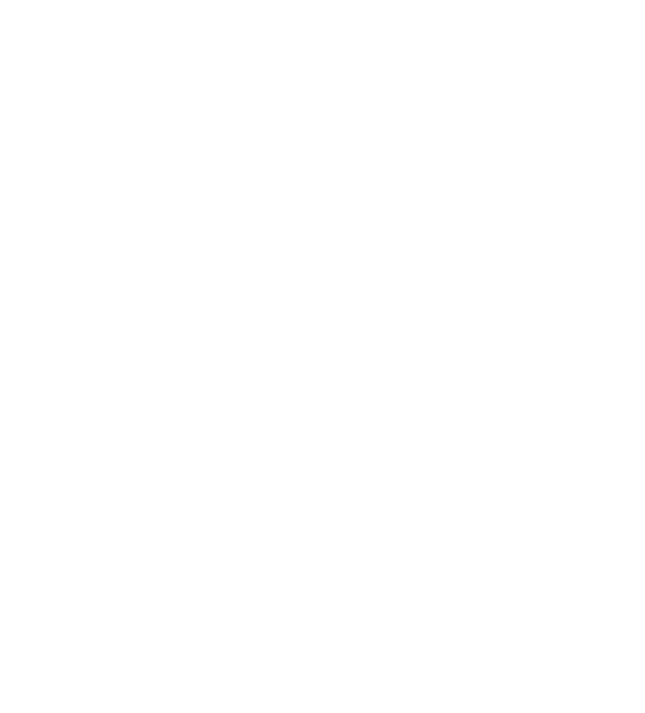 CCS – Reinigungsservice – Symbol